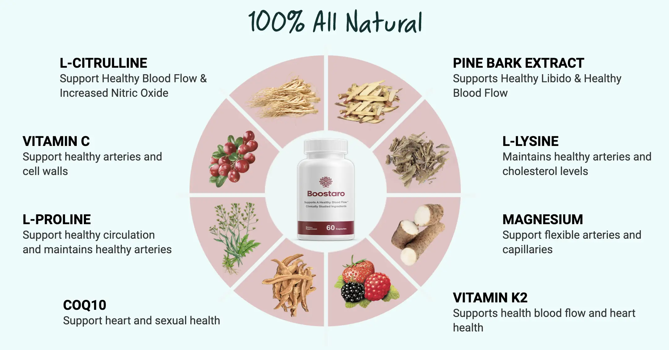 All Boostaro Ingredients